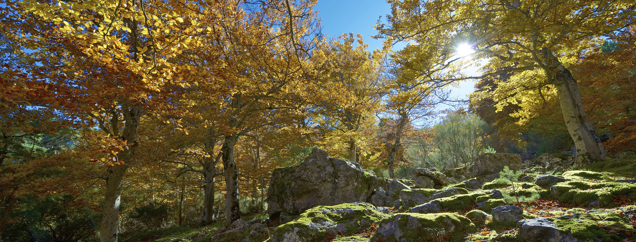 parque_natural_moncayo