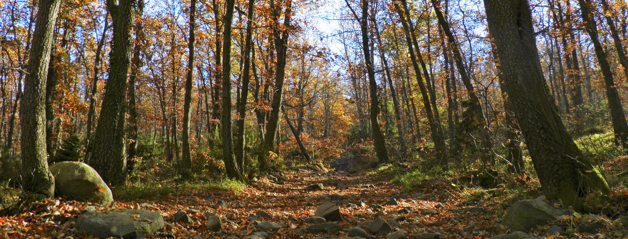 Parque del Moncayo